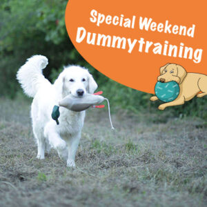 Dummytraining Urlaub mit Hund