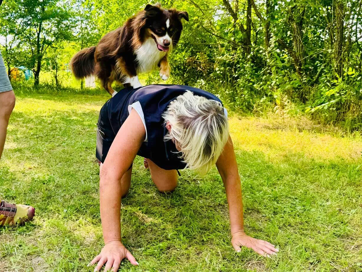 hundeurlaub_trickdogging